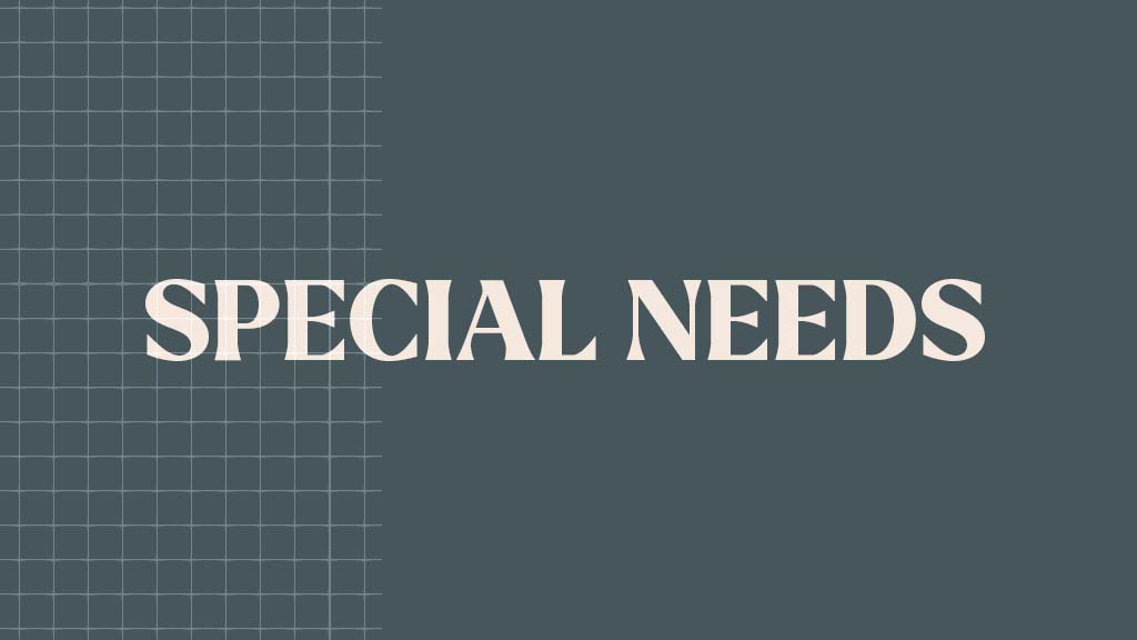Special Needs hero image