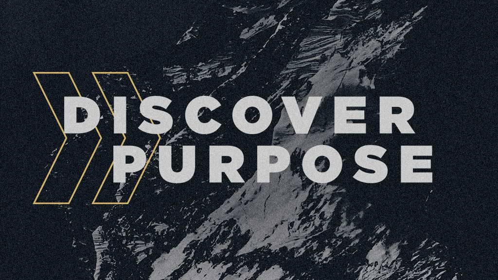 Discover Purpose graphic